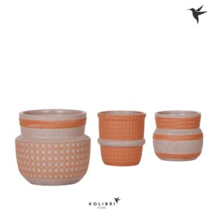 Keramische Pot Kolibri Home Ethnic Pot terracotta mix
(6 Plants/Order)(9cmP 11cmH)