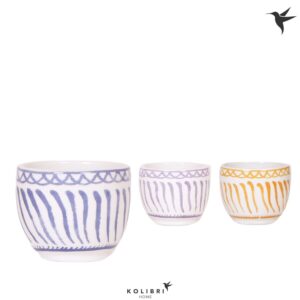 Keramische Pot Kolibri Home Granada Pot mix
(12 Plants/Order)(6cmP 6cmH)