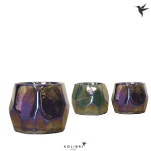 Keramische Pot Kolibri Home Pearl Pot blue green mix
(5 Plants/Order)(9cmP 11cmH)