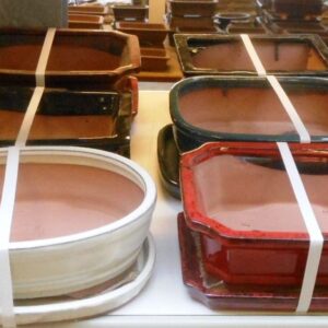 Huis and Tuindecoratie empty bonsai pots + plates, 23-27 cm. 6 pcs per box
(6 Plants/Order)(23cmP 9cmH)