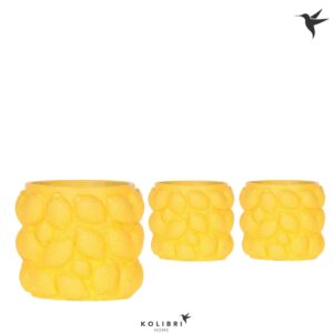 Keramische Pot Kolibri Home Citrus Pot yellow
(6 Plants/Order)(9cmP 11cmH)
