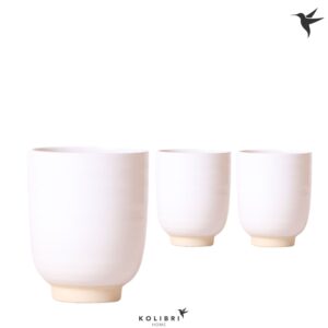 Keramische Pot Kolibri Home Glazed Pot white
(8 Plants/Order)(9cmP 13cmH)