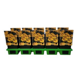 Helenium Helenium 'Kanaria' P11
(10 Plants/Order)(11cmP 25cmH)