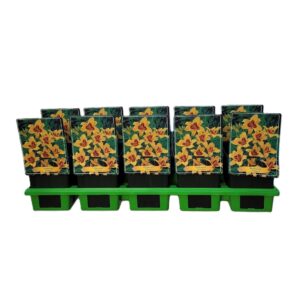 Hemerocallis Bonanza Hemerocallis 'Bonanza' P11
(10 Plants/Order)(11cmP 25cmH)