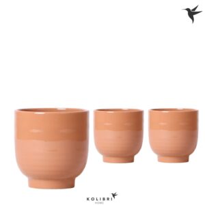 Keramische Pot Kolibri Home Glazed Pot cognac
(6 Plants/Order)(12cmP 14cmH)