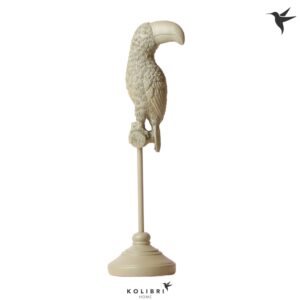 Huis and Tuindecoratie Kolibri Home Toucan green
(5 Plants/Order)(9cmP 30cmH)