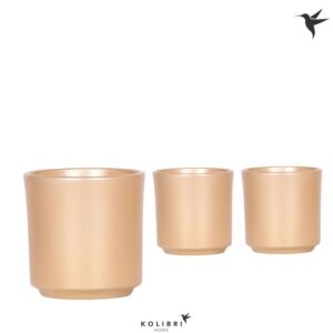 Keramische Pot Kolibri Home Simplicity Pot gold
(8 Plants/Order)(9cmP 11cmH)