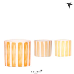 Keramische Pot Kolibri Home Painted Stripe Pot yellow mix
(12 Plants/Order)(6cmP 6cmH)