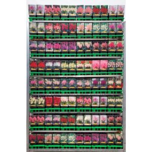 Astilbe Astilbe mix CC P11
(10 Plants/Order)(11cmP 25cmH)