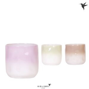 Keramische Pot Kolibri Home Gradience Pot mix
(4 Plants/Order)(12cmP 13cmH)