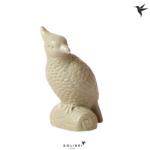 Huis and Tuindecoratie Kolibri Home Cockatoo green
(6 Plants/Order)(4cmP 12cmH)