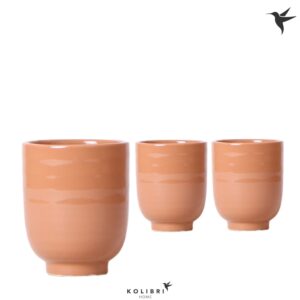 Keramische Pot Kolibri Home Glazed Pot cognac
(8 Plants/Order)(9cmP 13cmH)