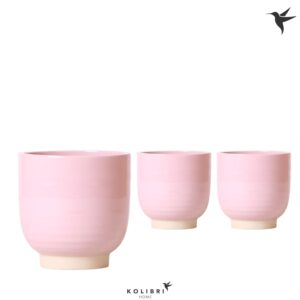 Keramische Pot Kolibri Home Glazed Pot pink
(6 Plants/Order)(12cmP 14cmH)