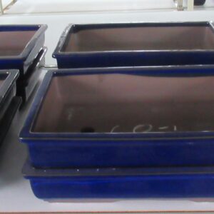 Huis and Tuindecoratie Pot rectangle glazed blue (36x25x7)
(1 Plants/Order)(36cmP 7cmH)