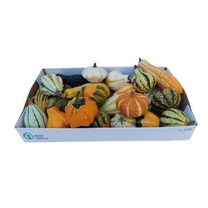 Cucurbita Maya mix
(25 Plants/Order)(cmP cmH)