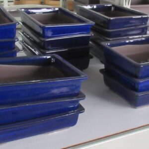 Huis and Tuindecoratie Pot rectangle glazed blue (25x17x5)
(1 Plants/Order)(25cmP 6cmH)