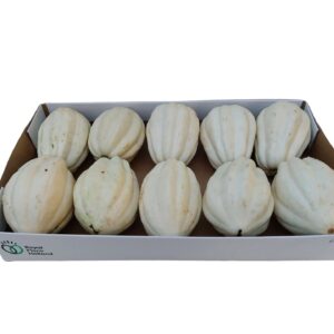 Curcubita Boo mashed potato
(10 Plants/Order)(cmP cmH)