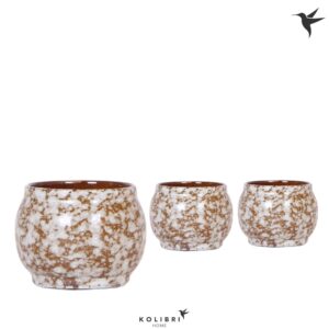 Keramische Pot Kolibri Home Safari Pot
(12 Plants/Order)(6cmP 6cmH)