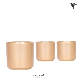 Keramische Pot Kolibri Home Simplicity Pot gold
(6 Plants/Order)(12cmP 13cmH)