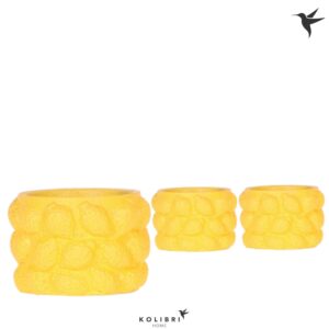 Keramische Pot Kolibri Home Citrus Pot yellow
(12 Plants/Order)(6cmP 6cmH)