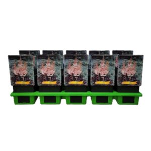 Astilbe Astilbe 'Spotlight' P11
(10 Plants/Order)(11cmP 25cmH)