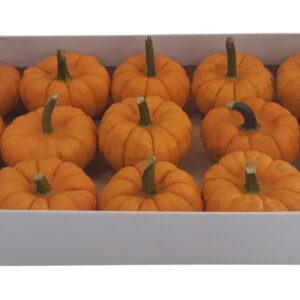 Cucurbita Jack Be Little *15
(15 Plants/Order)(5cmP cmH)