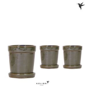Keramische Pot Kolibri Home Flower Pot green
(8 Plants/Order)(9cmP 11cmH)