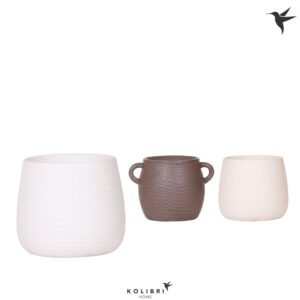 Keramische Pot Kolibri Home Scales Pot mix
(6 Plants/Order)(9cmP 11cmH)