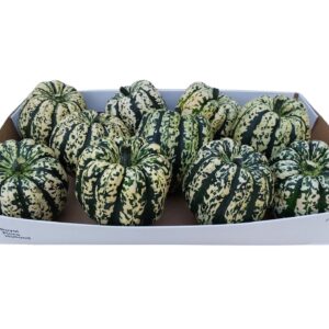 Cucurbita Heart of Gold Plant
(10 Plants/Order)(10cmP cmH)
