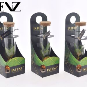 Clusia rosea Princess Clusia in Tube Glas + LED + verpakking-levertijd 24u
(15 Plants/Order)(5cmP 10cmH)