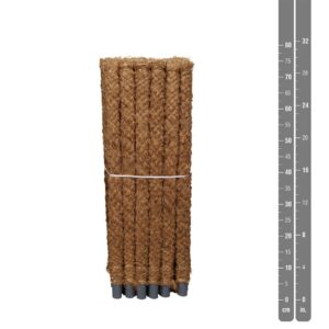 Mosstok Mosstok los 80 30 per bundel
(30 Plants/Order)(cmP 80cmH)