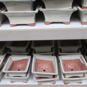 Huis and Tuindecoratie Bonsai Pot square, white (18,5x18,5x8)
(2 Plants/Order)(18cmP 19cmH)