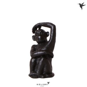 Huis and Tuindecoratie Kolibri Home Monkey Sitting black
(6 Plants/Order)(12cmP 12cmH)