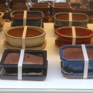 Huis and Tuindecoratie empty bonsai pots + plates, 14,5-16 cm. 12 pcs per box
(12 Plants/Order)(15cmP 6cmH)