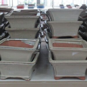 Huis and Tuindecoratie Bonsai Pot square, white (13,5x13,5x7)
(7 Plants/Order)(13cmP 14cmH)