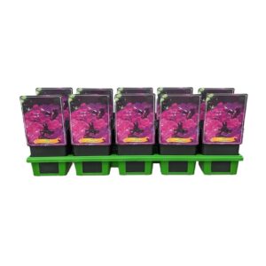 Phlox Paniculata Phlox Paniculata 'Roberta' P11
(10 Plants/Order)(11cmP 25cmH)