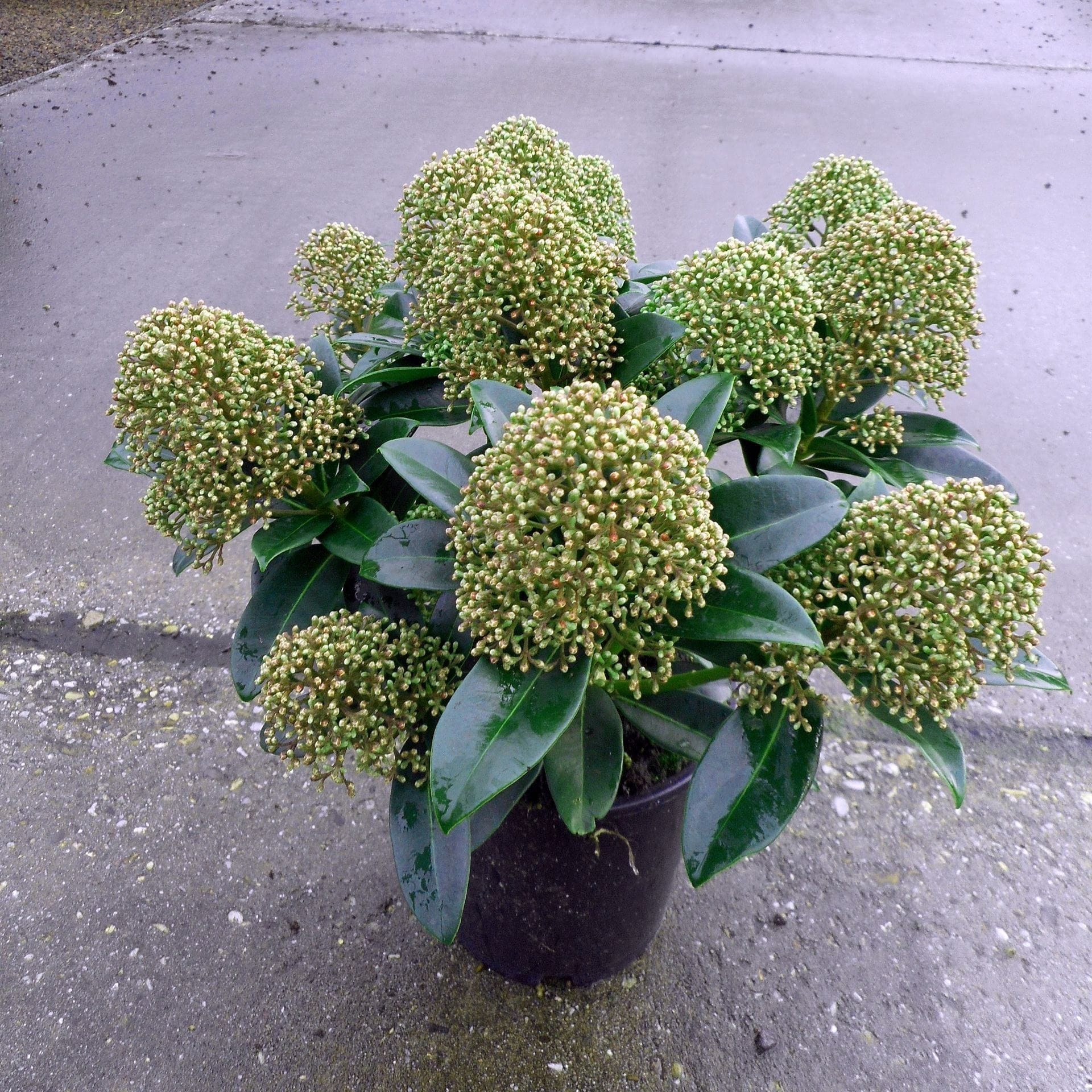 83abbb95-696d-4107-acda-890d9bb20aac.jpg