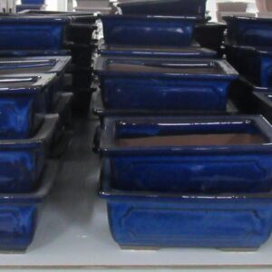 Huis and Tuindecoratie Pot rectangle glazed blue (16x11,5x5,5)
(8 Plants/Order)(16cmP 6cmH)