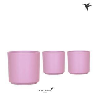 Keramische Pot Kolibri Home Simplicity Pot purpel
(6 Plants/Order)(12cmP 13cmH)