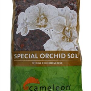 Huis and Tuindecoratie Orchids substraat
(10 Plants/Order)(cmP cmH)