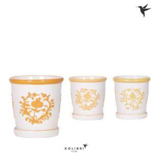 Keramische Pot Kolibri Home Malaga Pot yellow mix
(6 Plants/Order)(9cmP 12cmH)