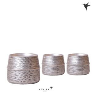 Keramische Pot Kolibri Home Groove Pot silver
(3 Plants/Order)(12cmP 13cmH)