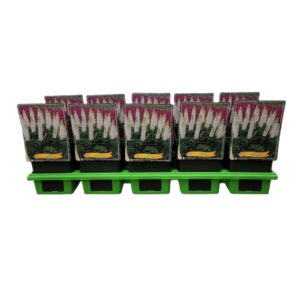 Lupinus Noblemaiden Lupinus 'Noble Maiden' P11
(10 Plants/Order)(11cmP 25cmH)