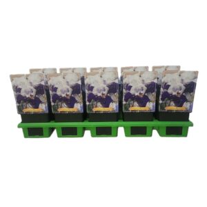 Iris germanica Iris germanica 'Night Edition' P11
(10 Plants/Order)(11cmP 25cmH)