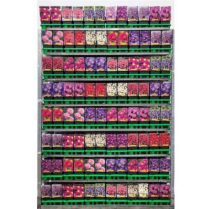 Aster Aster mix CC P11
(10 Plants/Order)(11cmP 25cmH)