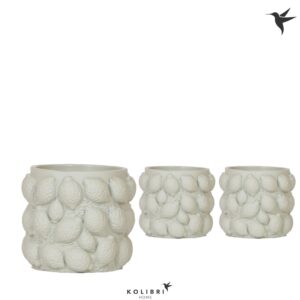 Keramische Pot Kolibri Home Citrus Pot green
(6 Plants/Order)(9cmP 11cmH)