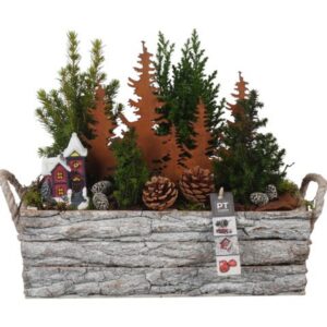 Christmas PTCWW6857 Arrangement Winter in houten bak
(1 Plants/Order)(39cmP 37cmH)