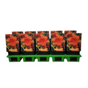 Hemerocallis Hemerocallis 'My Reggae Tiger' P11
(10 Plants/Order)(11cmP 25cmH)
