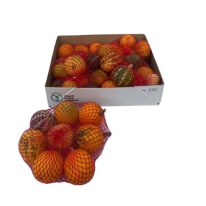 Cucurbita pepo in netje x 8 stuks
(4 Plants/Order)(5cmP 5cmH)