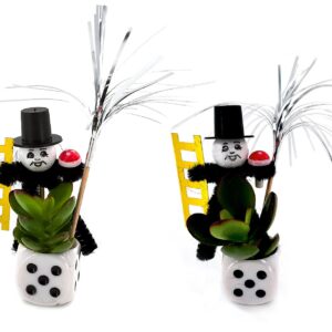 Succulenten Sylvester-Dobbeltje
(15 Plants/Order)(3cmP cmH)